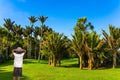 Picturesque meadow in a palm grove