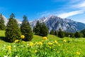 Picturesque meadows and forest are located amond the high mountains. Austria, Gnadenwald