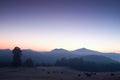 Picturesque misty and cold sunrise in landscape. First hoarfrost in foggy morning meadow Royalty Free Stock Photo