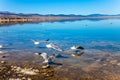 Picturesque Mono Lake Royalty Free Stock Photo