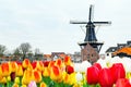 Picturesque morning landscape with the windmill, Haarlem, Holland