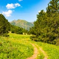 A picturesque mountain landscape with a green meadow, pine trees and a footpath