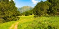 Picturesque mountain landscape with a green meadow, trees and a path. Wide photo Royalty Free Stock Photo