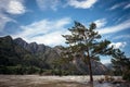Picturesque mountain landscape on sunny summer day. River and rocky mountains against a blue sky. Pine tree stands in the water on Royalty Free Stock Photo