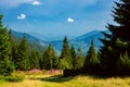 Picturesque mountain meadow covered with lilac wildflowers Royalty Free Stock Photo