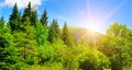 Picturesque mountains Carpathians and sunrise. Wide photo