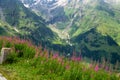 Picturesque mountains and meadows along Grossglockner High Alpine Road, Austria