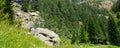 Scenic mountain slopes with grass, trees and rocks. Wide photo