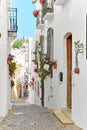 Picturesque narrow street with flowerpots in the village of Mojacar. Spain