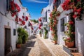 Picturesque narrow street in Spanish city old town. Typical traditional whitewashed houses with blooming plants, flowers