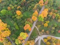 Picturesque natural landscape with autumnal trees in vibrant col