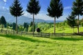 Picturesque natural landscape of green grass meadows