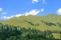 Picturesque natural sunny landscape of green alpine meadows Royalty Free Stock Photo