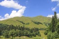 Picturesque natural sunny landscape of green alpine meadows Royalty Free Stock Photo