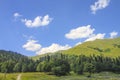 Picturesque natural sunny landscape of green alpine meadows Royalty Free Stock Photo