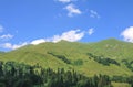 Picturesque natural sunny landscape of green alpine meadows Royalty Free Stock Photo