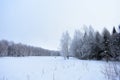 Picturesque natural winter snow frosty misty forest Park and river. Frozen pond pond field. Cloudy