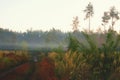 Picturesque nature foggy morning landscape. Narrow winding path through the meadow into the forest. Autumn colors background Royalty Free Stock Photo