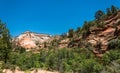 Rocks of a canyon and a forest in Zion National Park, Utah, USA Royalty Free Stock Photo