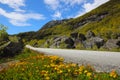 Picturesque Norway road Royalty Free Stock Photo