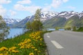 Picturesque Norway road Royalty Free Stock Photo