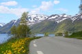 Picturesque Norway road Royalty Free Stock Photo