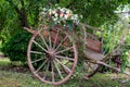 Picturesque old wooden ancient cart decorated with flower for a wedding Royalty Free Stock Photo