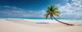 The picturesque palm tree swaying gently over a tranquil beachscape. AI generated image Royalty Free Stock Photo