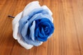 Picturesque paper rose. Origami. Giant multicolored flower. Royalty Free Stock Photo