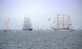Picturesque parade of sails