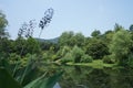 Picturesque park in the botanical gardens, Hangzhou, China Royalty Free Stock Photo