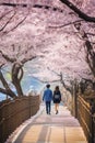 In the picturesque park, a couple, deeply in love, enjoys a leisurely walk through the stunning cherry blossoms.