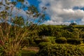 Picturesque park with evaporation from natural active geysers at Royalty Free Stock Photo