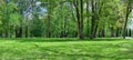 Picturesque park landscape with big trees and green glade. panoramic view at sunny spring day Royalty Free Stock Photo