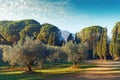 Picturesque park of Lourmarin. Spain