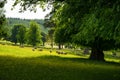 Picturesque pastures with sheep, Scotland, UK Royalty Free Stock Photo