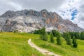 A picturesque path through an alpine meadow in the Italian Dolomites for hiking and cycling.