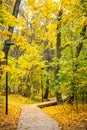 Picturesque path for walks in the park in autumn