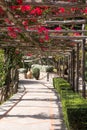 Picturesque pathway covered with red bougainvillea at Hotel Luna, on the island of Capri, Southern Italy. Royalty Free Stock Photo