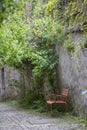 Picturesque paved green alley, with many green plants.