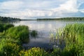 Summer landscape on the Lake Biserovo, Moscow region, Russia.