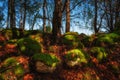 picturesque pile of large old stones overgrown with green moss with orange fallen leaves with shadow from tree trunks and blue sky Royalty Free Stock Photo