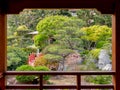 A picturesque pine tree seen from a wood pavilion of the Japanese garden of Monaco Royalty Free Stock Photo
