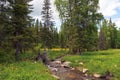 A picturesque place in the Altai Mountains with a small river and stones in the middle of a green forest of coniferous trees and Royalty Free Stock Photo