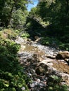 A picturesque place in the forest. Mountain river. Clear water and rocks. Beautiful nature. Royalty Free Stock Photo