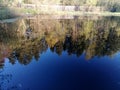 A picturesque pond on the edge of the village next to a pine forest at dawn in the first rays of the sun in the morning Royalty Free Stock Photo