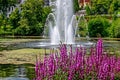 Picturesque pond with fountain in the spa park Bad Schwalbach, Germany