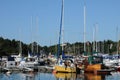 Picturesque port of Nynashamn