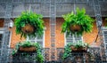 Picturesque private houses in the French Quarter. Balcony and wrought iron grating. Traditional architecture of old New Orleans Royalty Free Stock Photo