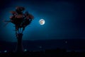 Picturesque purple spring flowers in glass vase standing in a row on a dark background with stars and moon